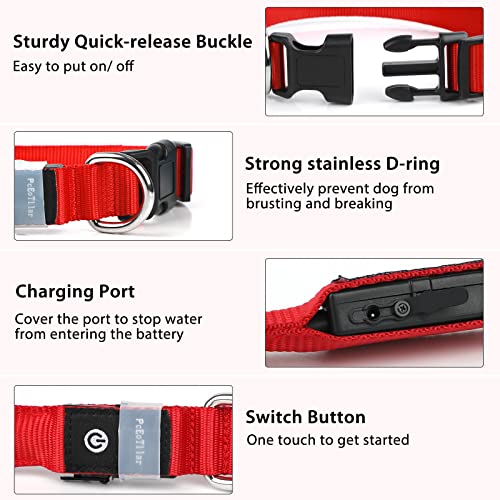 Light up Dog Collar (Red / M(15 inch-19.7 inch))
