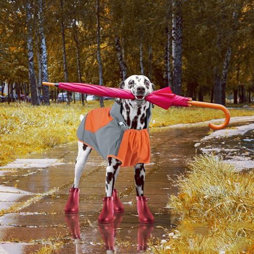 Dog Raincoat Waterproof Rain Jacket for Medium Dogs (Medium / Orange)