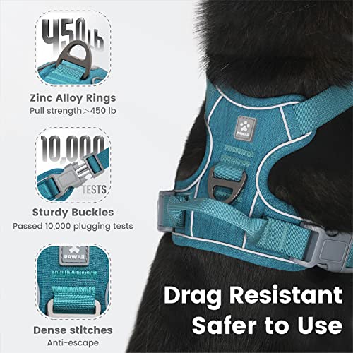Small Dog Harness (XS (Chest: 12"-17" ) / Teal Green)