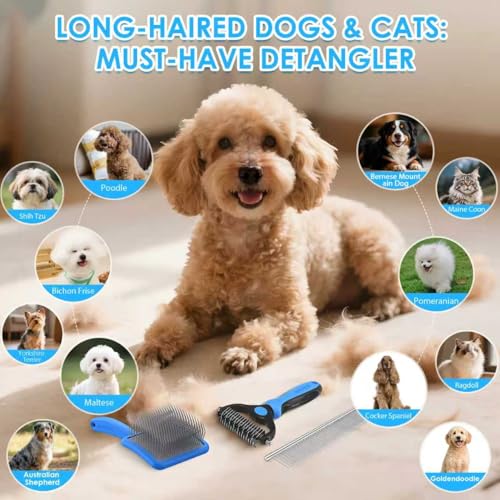 Large 3 in 1 Dog Grooming Kit (Blue)