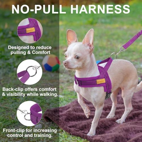 Small Dog Harness and Leash Set (Purple / XS: Chest 15"-18")