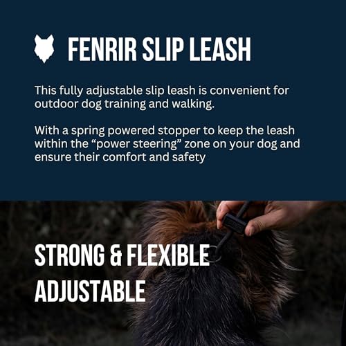 Slip Leash 1.4m Professional Dog Training Lead to Stop Pulling (Brown)