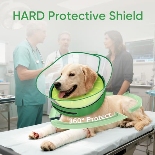 Raised Inflatable Dog Cone After Surgery (Kiwi / XXL（(Neck 18"-23")）)