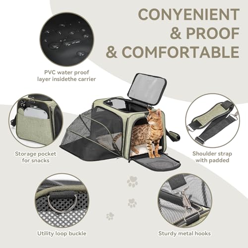 Small Double Expandable Cat Carrier for Kittens and Air Travel (16.0"L x 10.0"W x 9.0"H / Green)