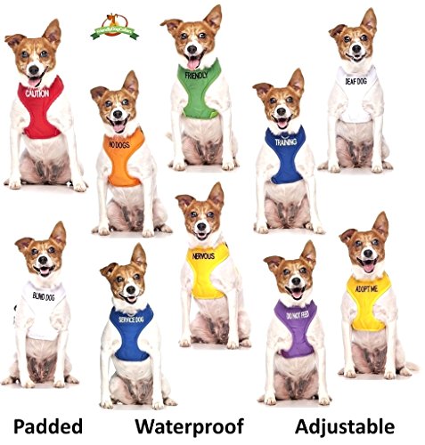 Limited Friendly Green Color Coded 2 4 6 Foot Padded Dog Leash
