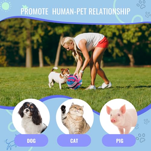 Pet Snuffle Ball (Royal blue / 15cm)