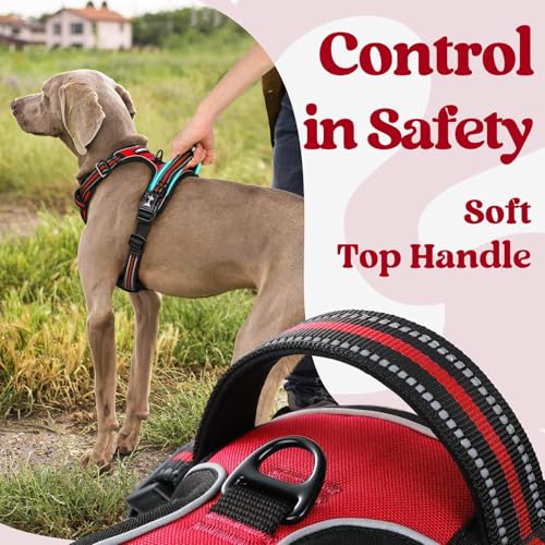 Dog Harness Small Sized (Small / Red)