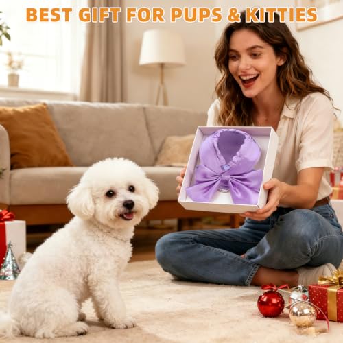 Small Dog Harness and Leash Set (PURPLE / M (Chest Girth: 16.1"-18.9"))