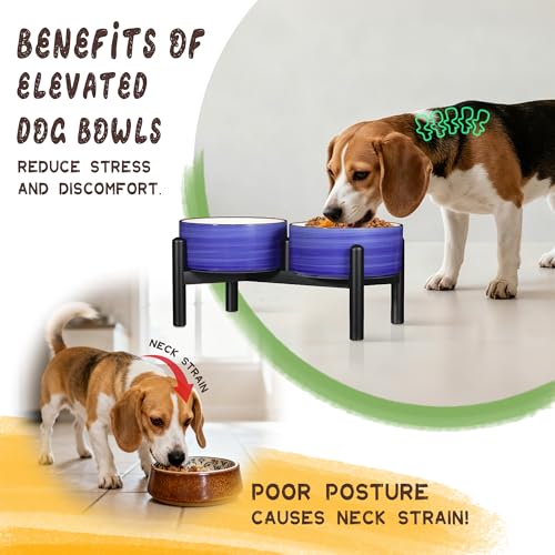 Ceramic Elevated Dog Bowl Set (Thread Blue / 3.5 Cups)