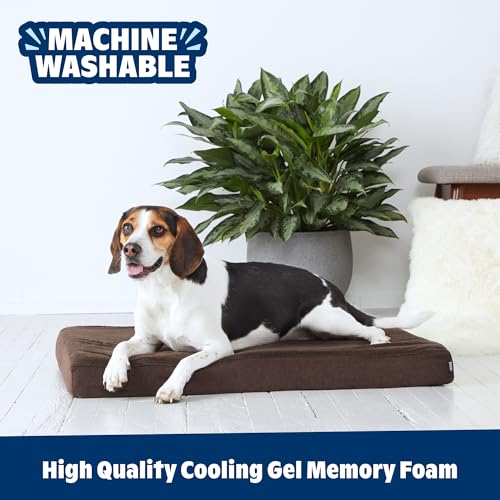 Orthopedic Dog Bed (Espresso / Medium)