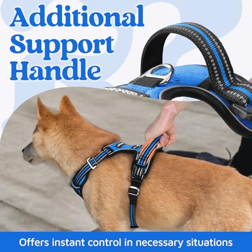 Dog Harness Small Sized (Blue / Small)