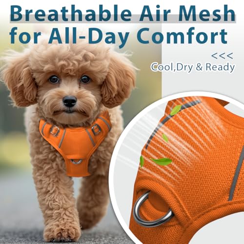 Dog Harness No Pull with ID Tag Pocket (Small(Chest:19.5-26”) / Orange)