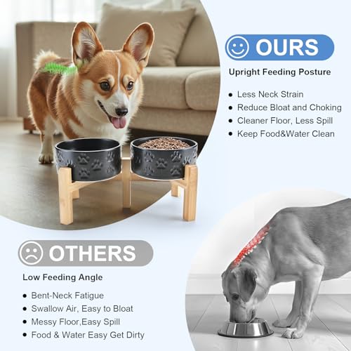 Elevated Dog Bowls Ceramic (6.1 in - 3.6 cups / Paw Black)