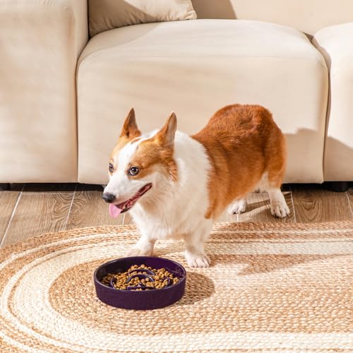 Slow Feeder Dog Bowl (M - 1.5 Cups / Dark Purple)