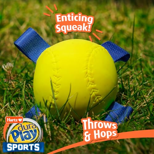 Dura Play Sports Baseball Dog Toy (Baseball / 1 Count)