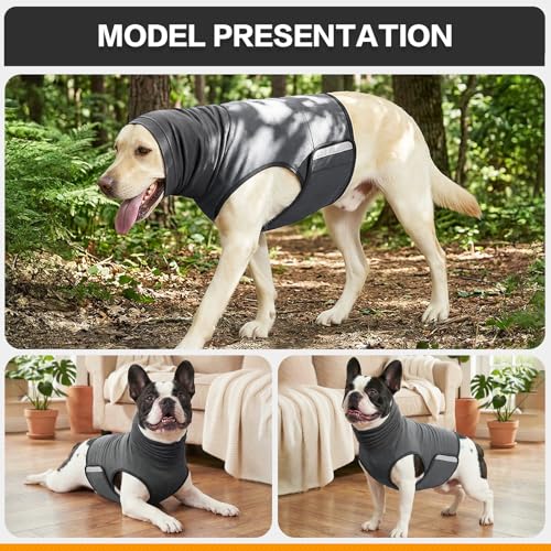 Dog Anxiety Vest (Grey / Large)