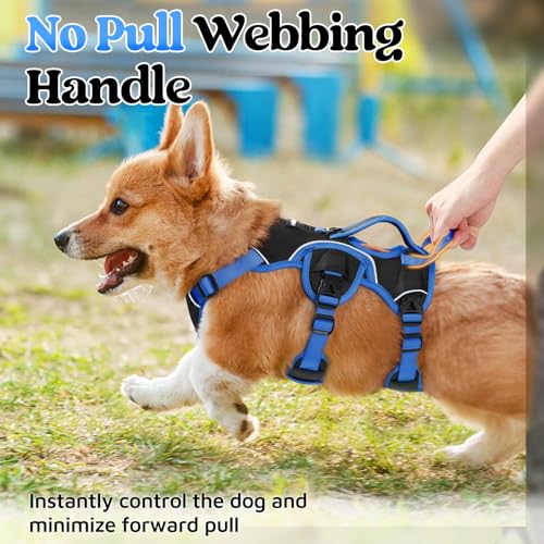 Escape Proof Dog Harness for Small (Blue & Black / Small)