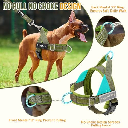 No Pull Dog Harness and Leash Set (Green / Medium)