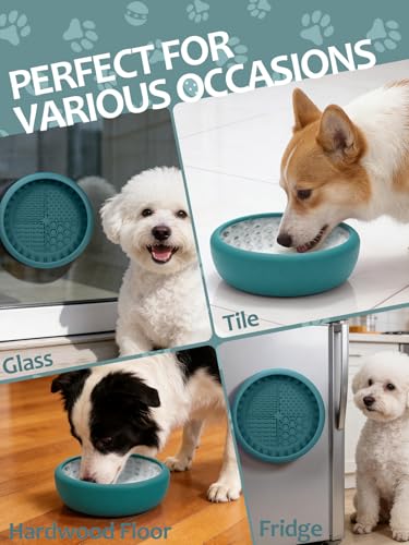 Dog Lick Bowl with Brush and Scraper (Teal / Small)