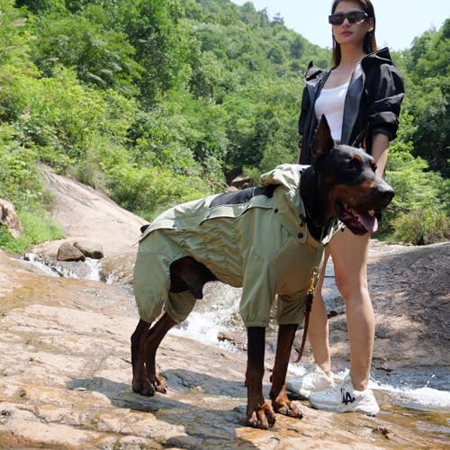 Fleece Lined Dog Raincoat with Removable Hood (Sage Green Fleeced / L (Back 16.5"))