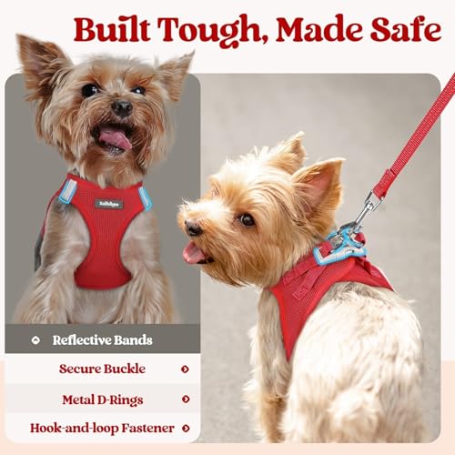 Dog Harness Medium Sized and Leash Set (Red / L (chest: 18.2 - 20.5"))