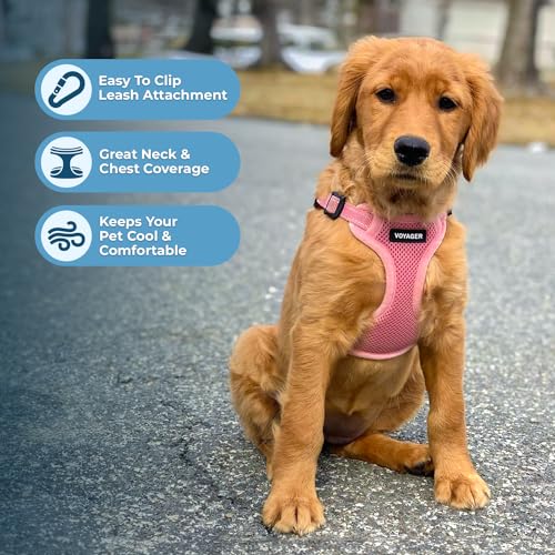 Voyager Step in Flex Adjustable Dog Harness (Harness (Pink) / L)