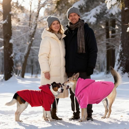 Dog Basic Hoodie Soft Dog Clothes Cold Weather Sweaters for Medium Large Dogs Cozy Fabric Warm Sweatshirt with Leash Hole for Boys (Rose Pink / XS (Back: 10.24",Chest: 14.96", 2-5 lbs))