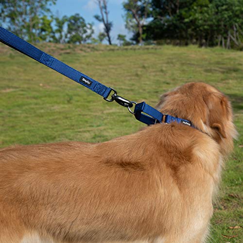 Short Dog Leash 18" (Classic Blue / 18 Inches)