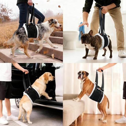 Dog Lift Harness Sling for Back Legs (Extra Large / Black)