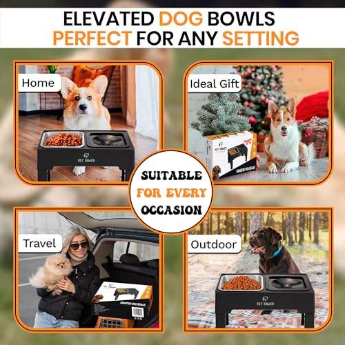 Elevated Dog Bowls (No-Spill Water Bowl & Stainless Steel Bowl Black)