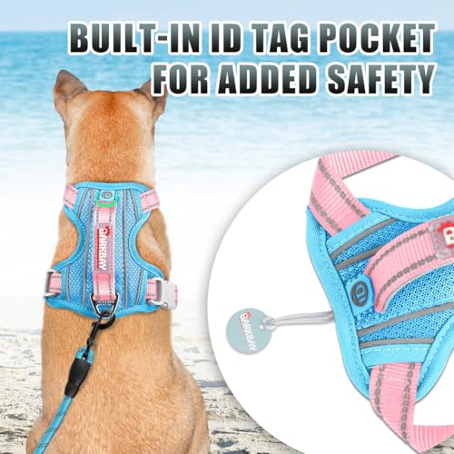 Dog Harness for Small Sized Dog No Pull Dog Vest ID Tag Pocket (Baby Blue & Baby Pink / X-Small)