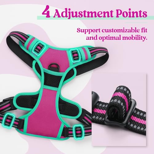 Dog Harness No Pull for Small Dogs with 2 Leash Clips (Small / Hot Pink & Turquoise)