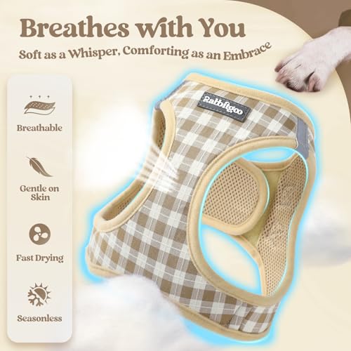 Dog Harness Small Sized and Leash Set (Beige Check / S (chest: 15.1 - 16.5"))