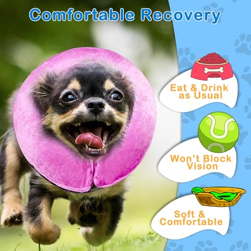 Inflatable Dog Cone Collar (Pink / Extra Large [Neck: 18"-23"])