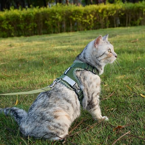 Cat Harness and Leash Set (Dark Green / Small)