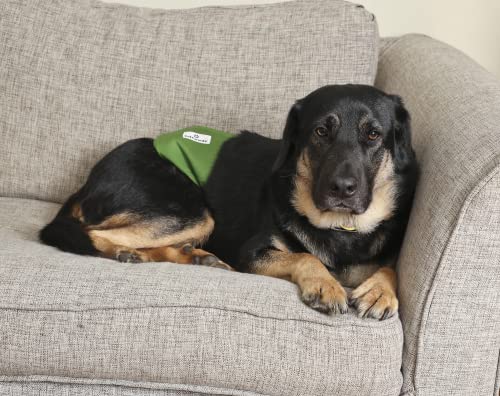 Washable Belly Bands for Male Dogs (Large (20-25") / Gentlemen)