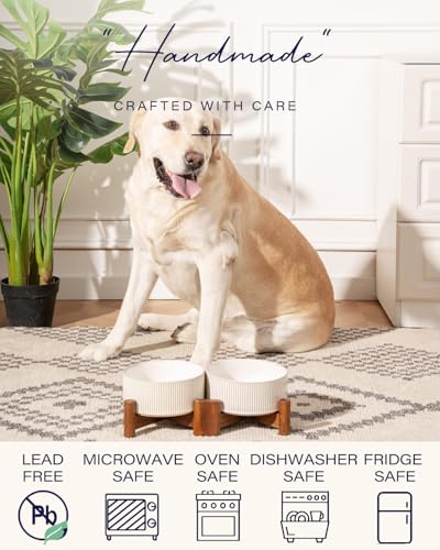 Ceramic Dog Bowls Set with Acacia Wood Stand (Large-3.5Cups / Vintage White)