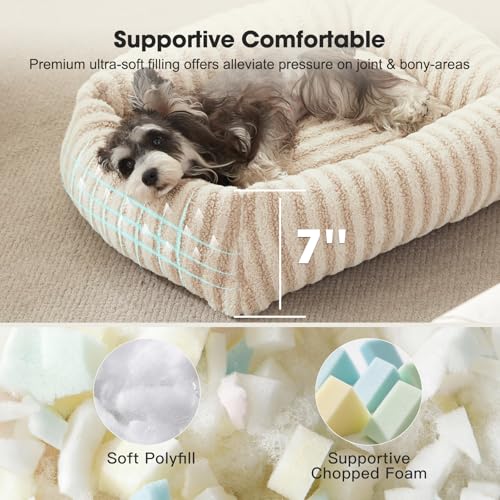 Dog Bed for Medium Sized Dogs (White / S Plus(25"Lx21"Wx7"Th))