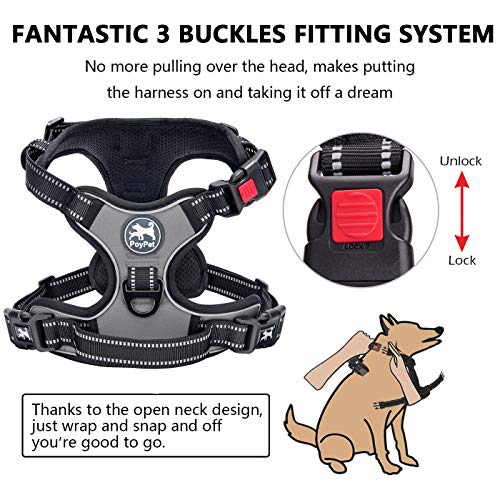 No Pull Dog Harness Small with Front Clip & Neck Release Buckle (XS / Grey)