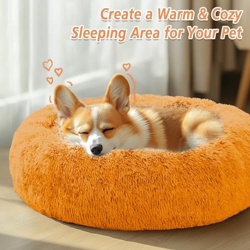 Calming Dog Beds Large Sized Dog (Orange / 36.0"L x 36.0"W x 8.0"Th)