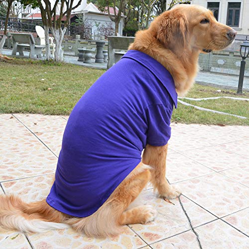 Basic Dog Polo Shirts Premium Cotton (XXL (-55lbs) / Purple)