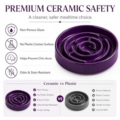 Ceramic Slow Feeder Dog Bowl (Purple)