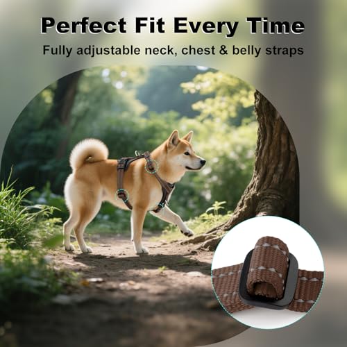 No Pull Dog Harness with Leather Accents (XL / Chocolate)