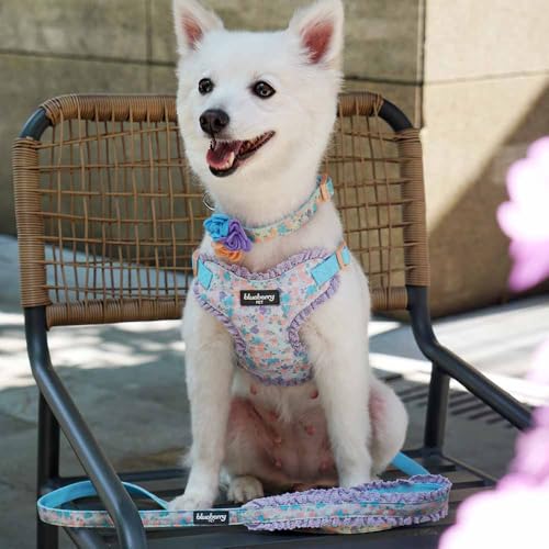 Soft & Comfy Made Well Lovely Floral No Pull Mesh Puppy Dog Harness Vest in Lavender ((14" - 16") Chest Girth (Pack of 1) / Lavender)