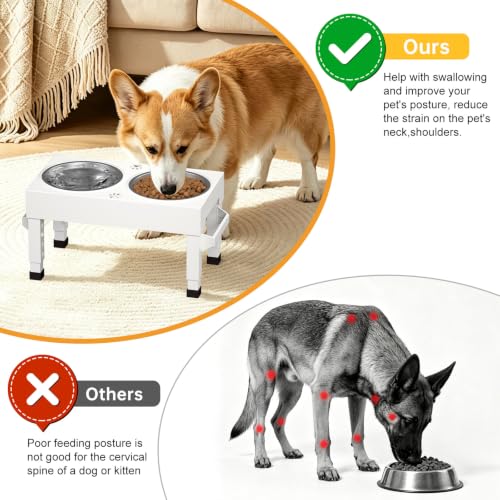 Elevated Dog Bowls Stand Large Breed (White)