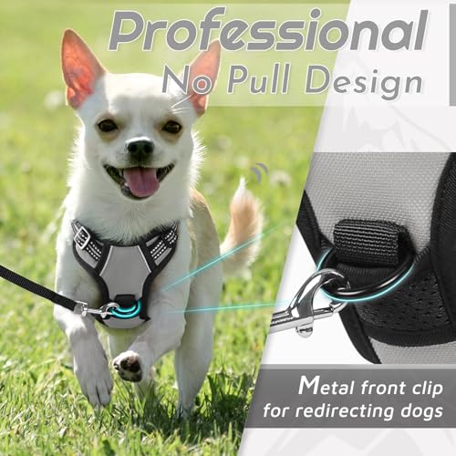 Dog Harness for Small Dogs (X-Small / Grey)