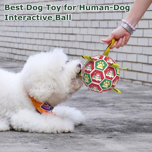 Christmas Dog Toys (Christmas 1 / 8 Inch)