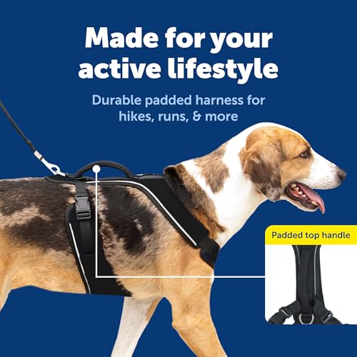 EasySport Dog Harness (Large / Black)