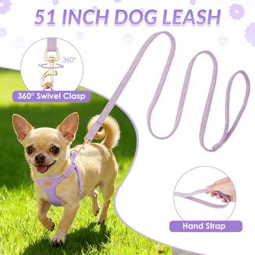 No Pull Dog Harness with Leash for Small Medium Dogs (X-Small(6-11lb) / Solid Purple)