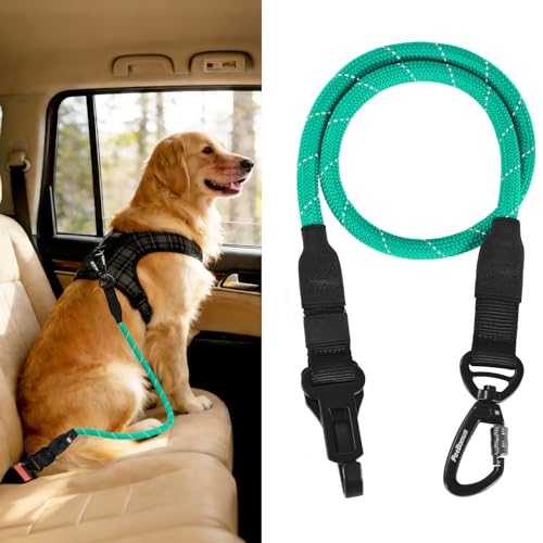 Dog Seat Belt for Car (Turquoise / 1 Pack)